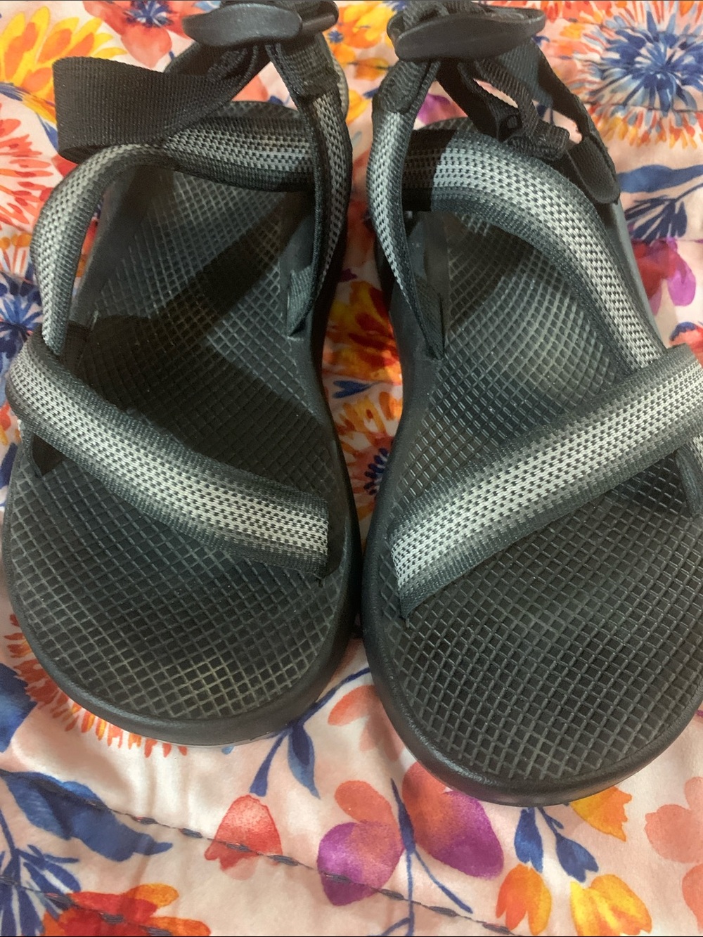 Chaco - Picture 7 of 8
